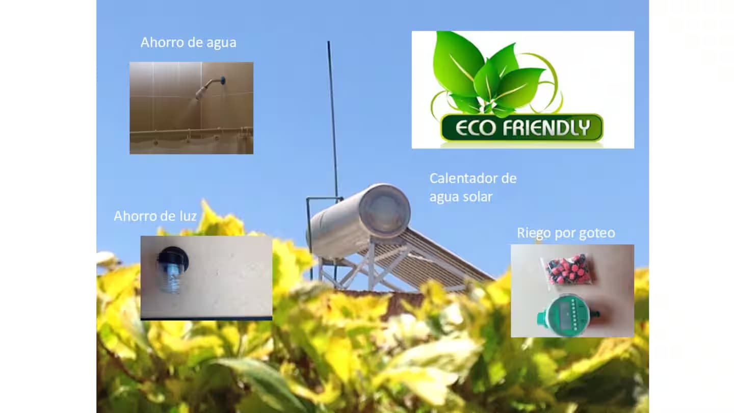 Detalles Habitación 14