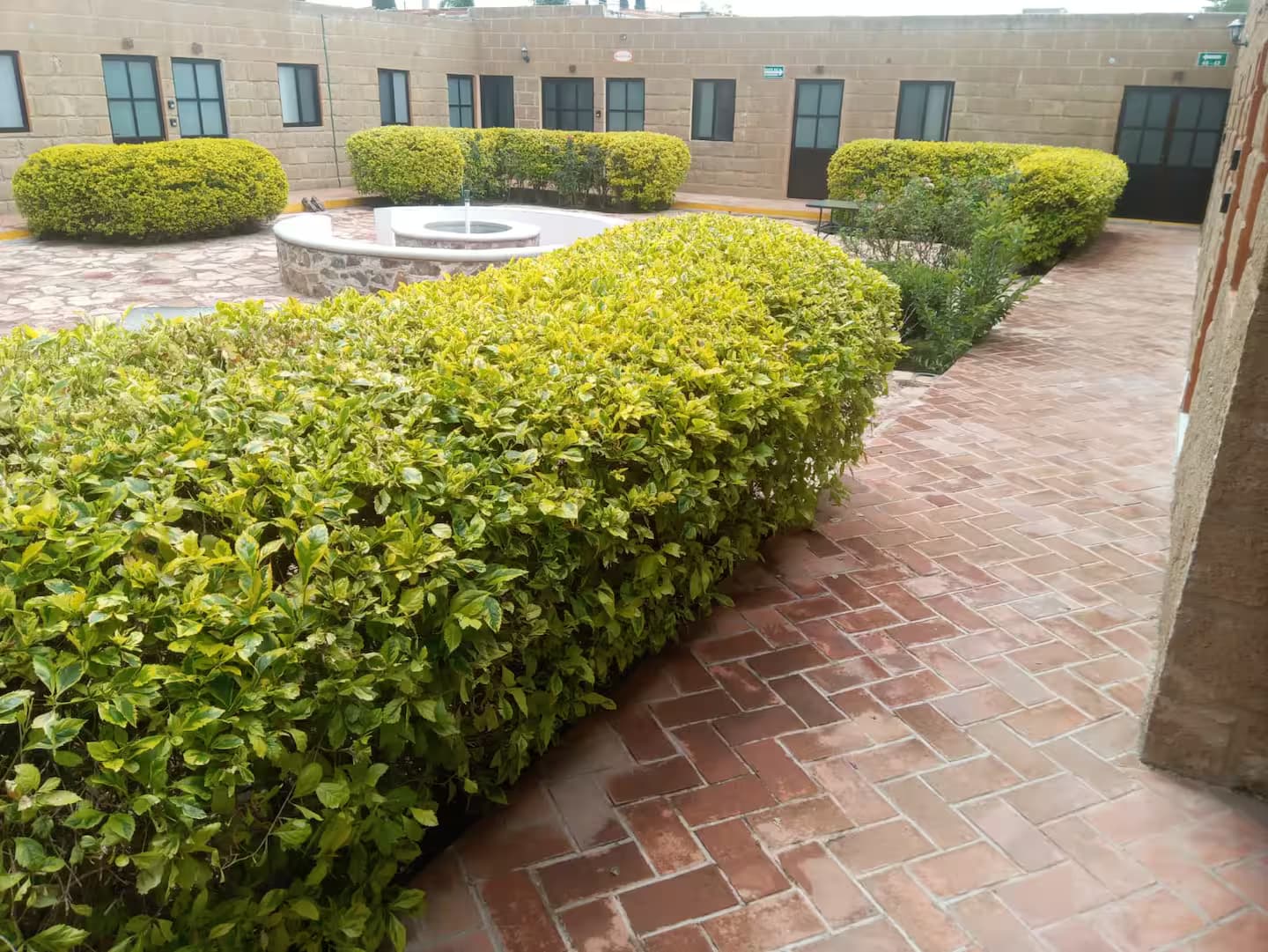 Hotel Villa Campestre - Instalaciones de lujo rodeadas de naturaleza en Querétaro