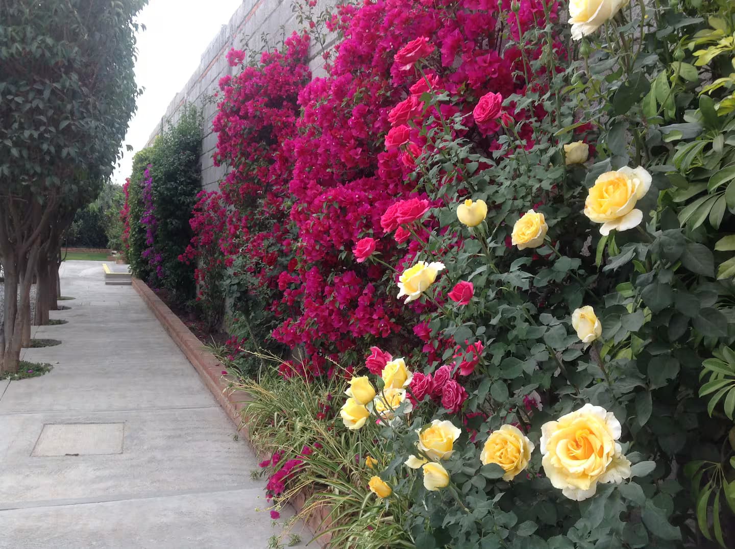 Hotel Villa Campestre